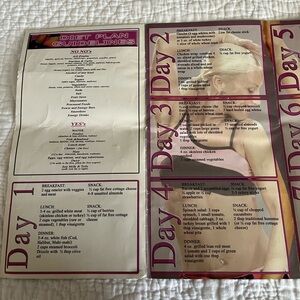 Core Video work out and diet plan brand new